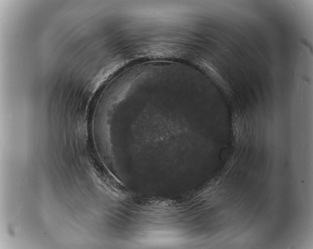 X0000102220488200808011206