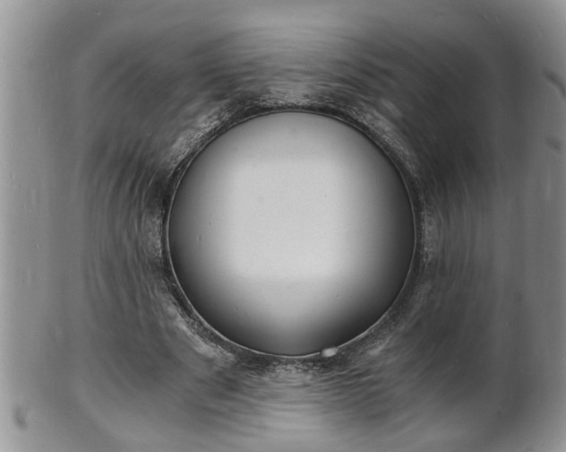 X0000102220489200808011206