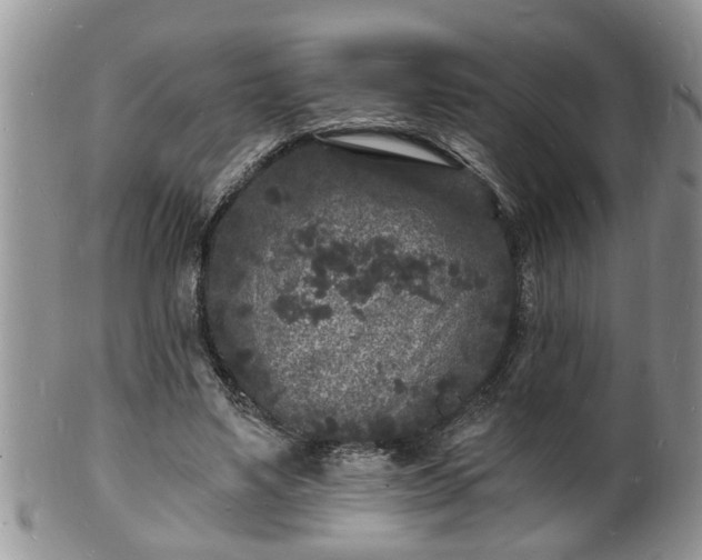 X0000102220491200808011206