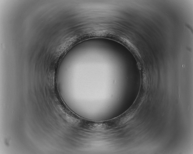 X0000102220493200808011206