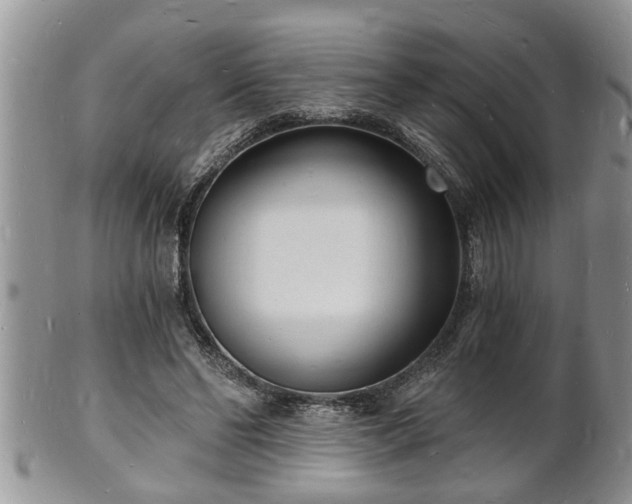 X0000102220494200808011206