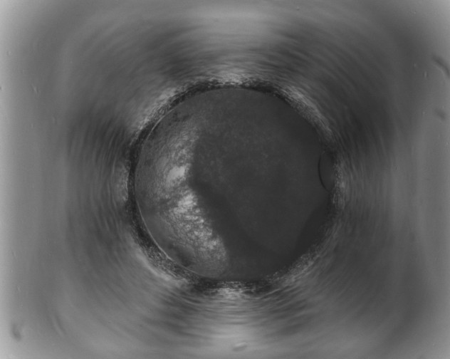 X0000102220496200808011206