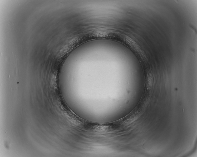 X0000102220497200808011206