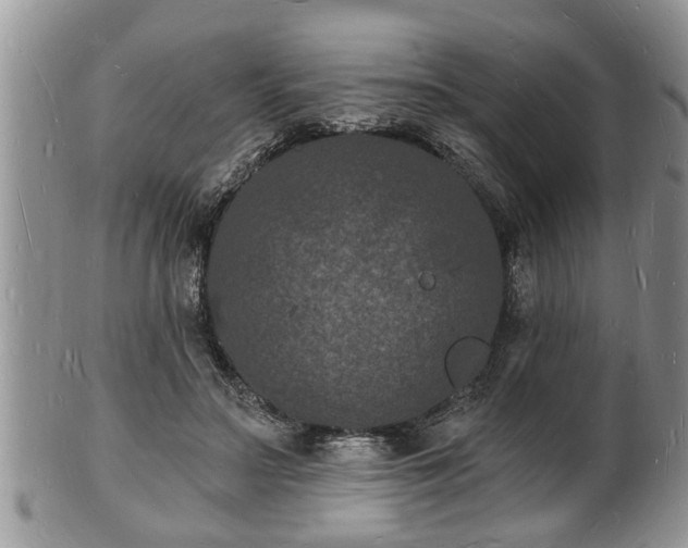 X0000102220499200808011206