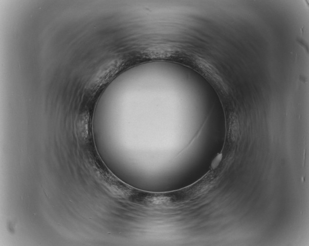 X0000102220501200808011206