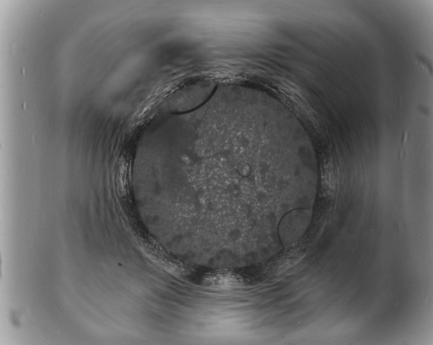 X0000102220503200808011206