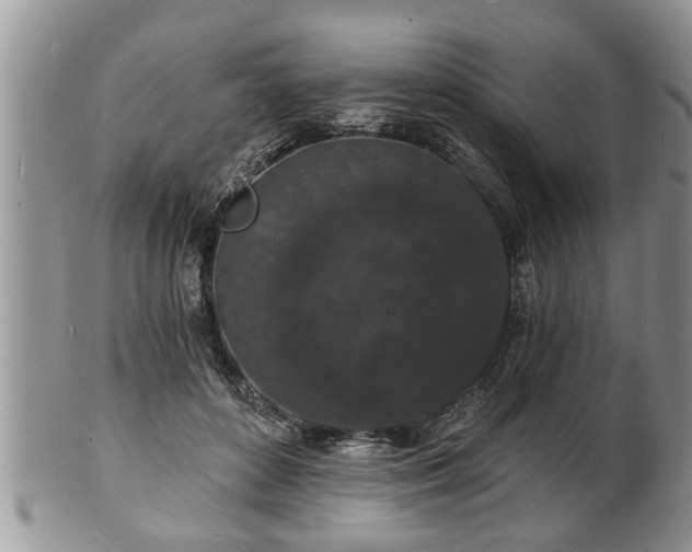 X0000102220504200808011205