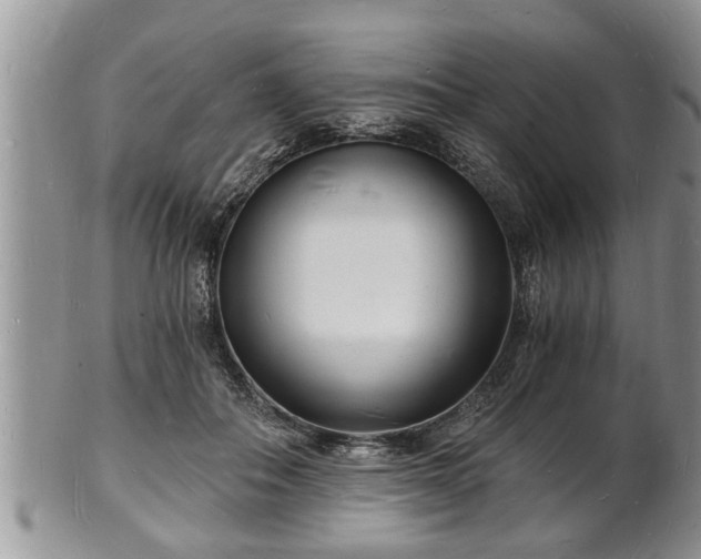 X0000102220506200808011205