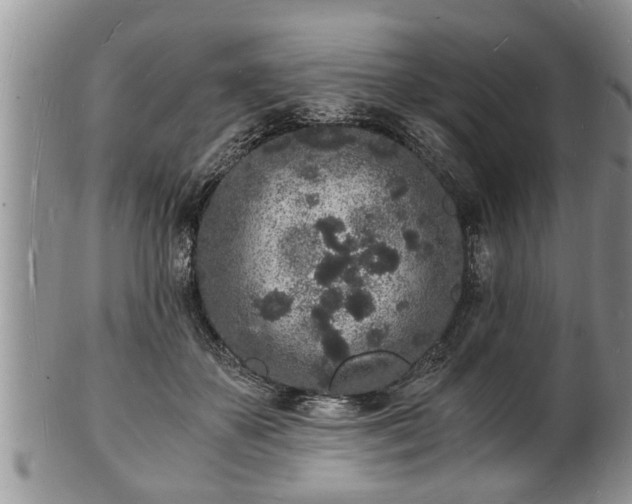 X0000102220507200808011205