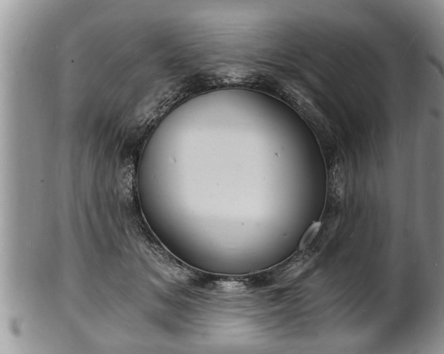 X0000102220509200808011205