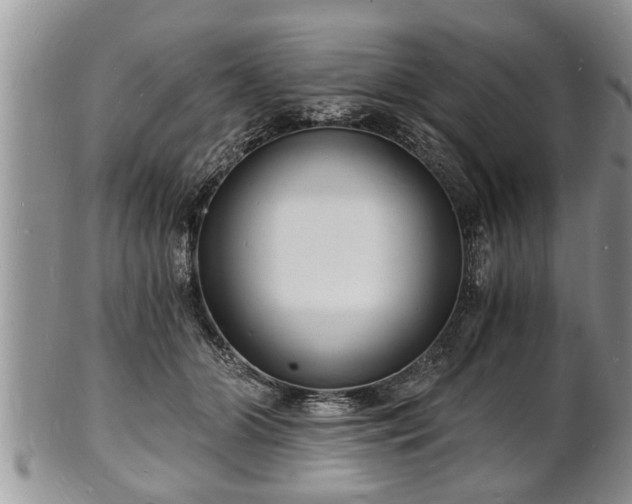 X0000102220510200808011205