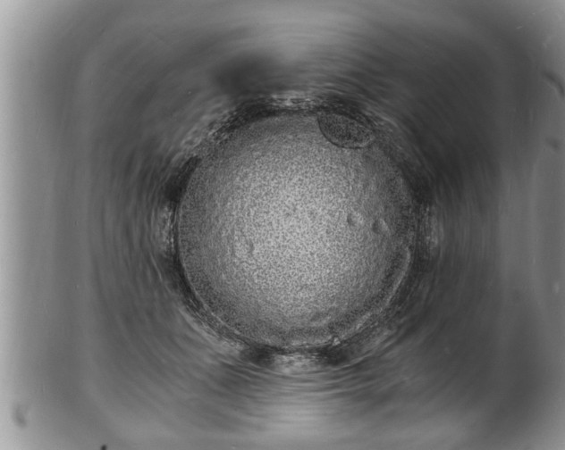 X0000102220511200808011205