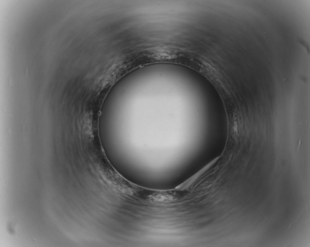 X0000102220512200808011205