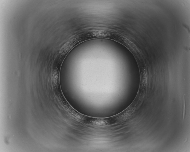 X0000102220513200808011205