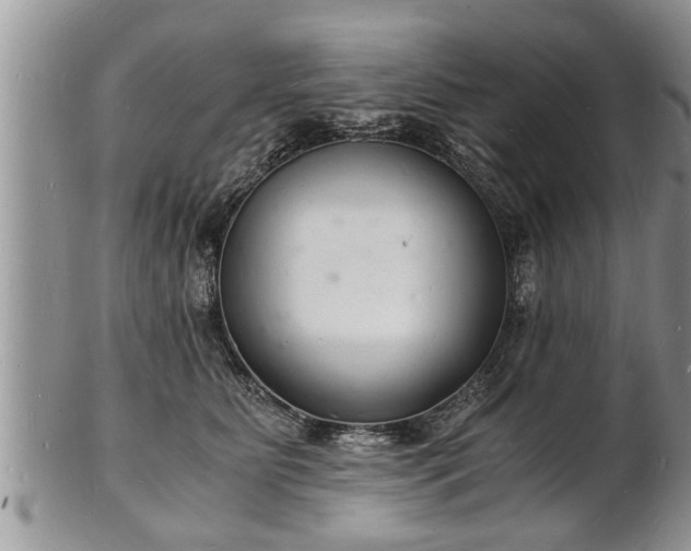 X0000102220515200808011205