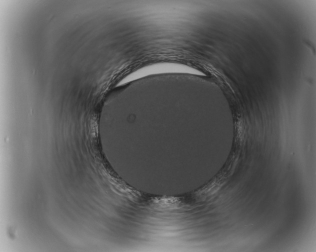 X0000102220517200808011205