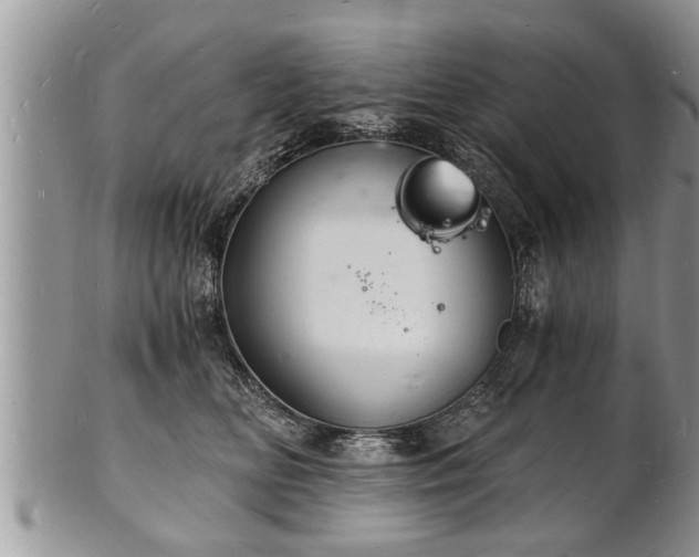 X0000102220518200808011205