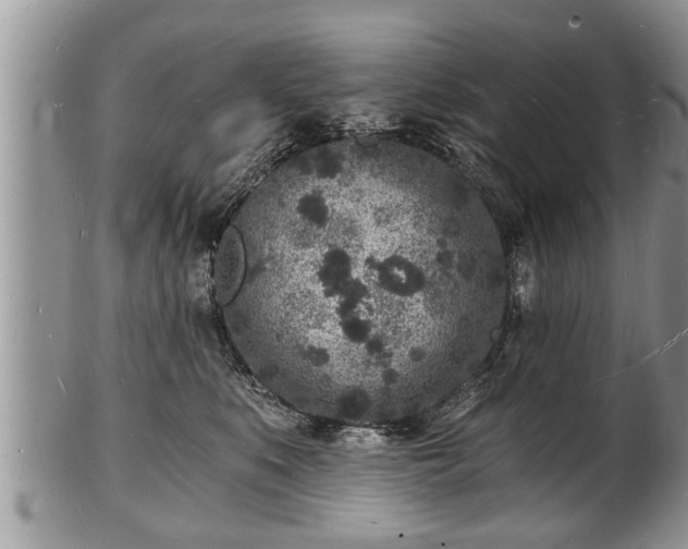 X0000102220519200808011205