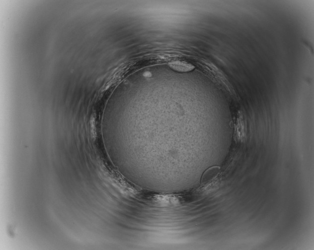 X0000102220520200808011205