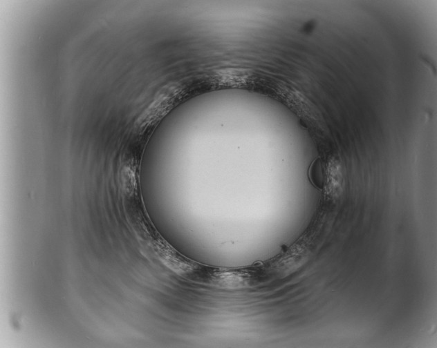 X0000102220522200808011205