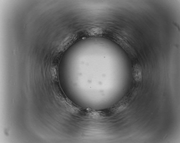 X0000102220523200808011205