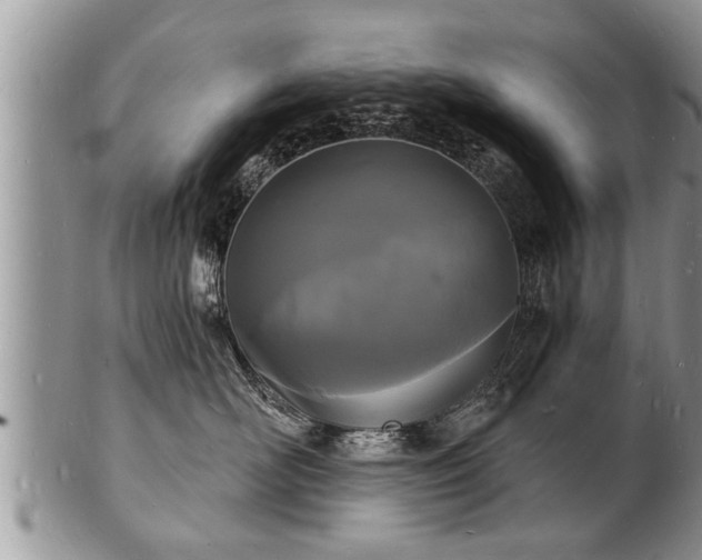 X0000102220526200808011205