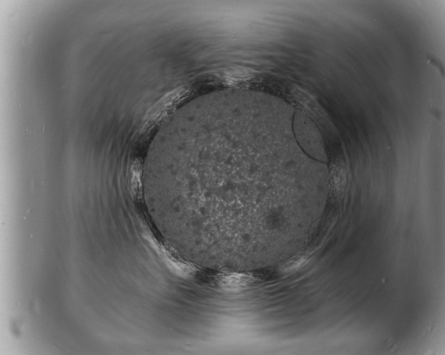 X0000102220527200808011205