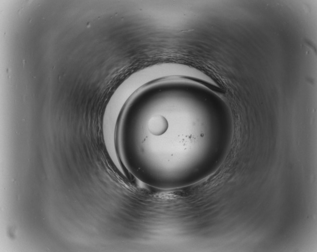 X0000102220528200808011205