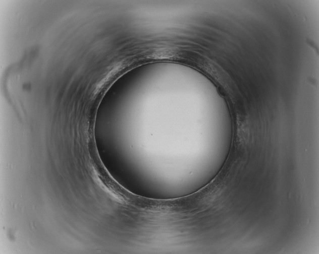 X0000102220530200808011204