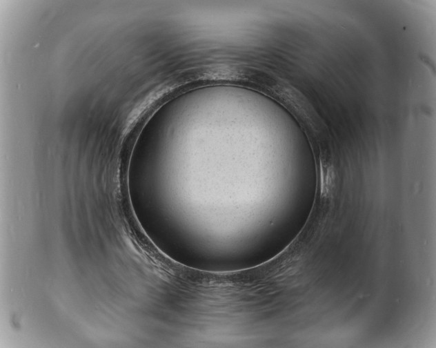 X0000102220531200808011204