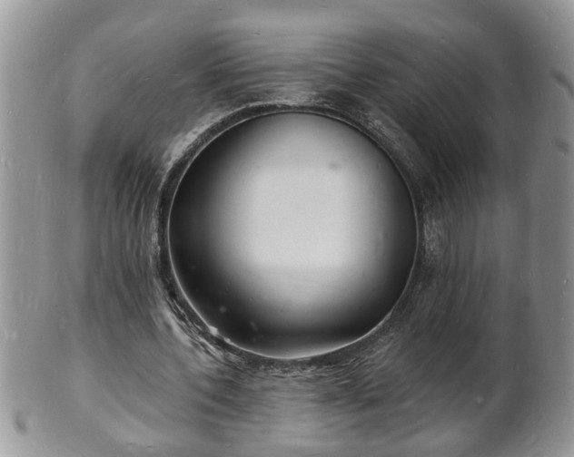 X0000102220532200808011204