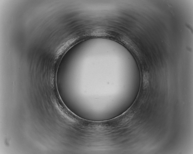 X0000102220533200808011204