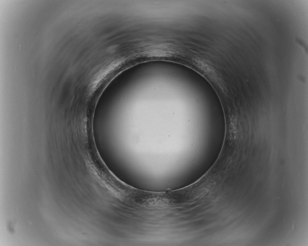 X0000102220535200808011204