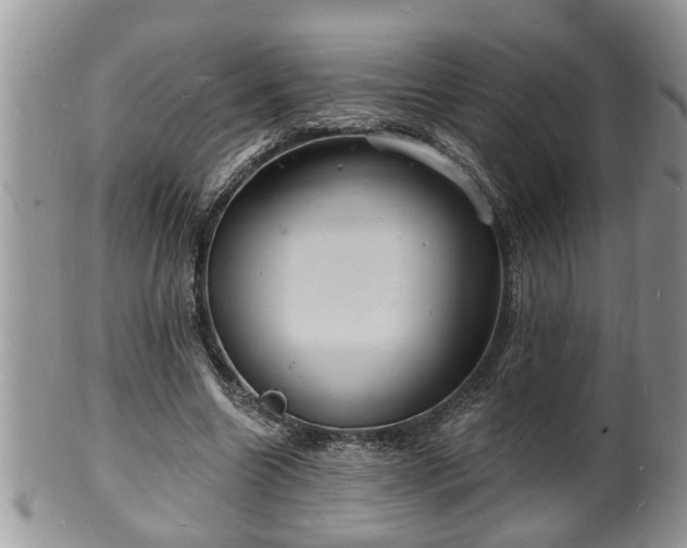 X0000102220538200808011204