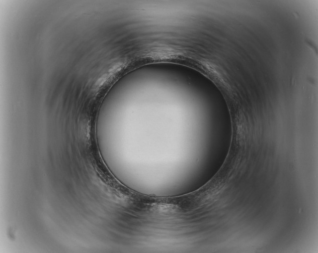 X0000102220539200808011204