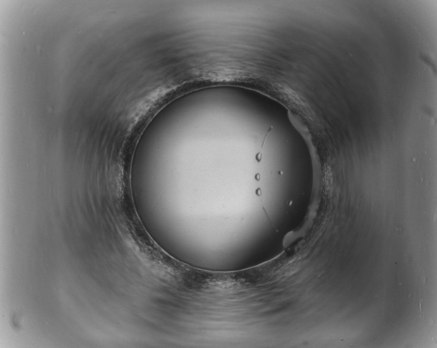 X0000102220540200808011204