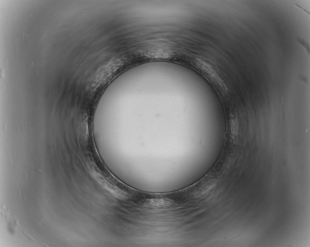 X0000102220541200808011204