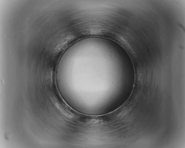 X0000102220542200808011204