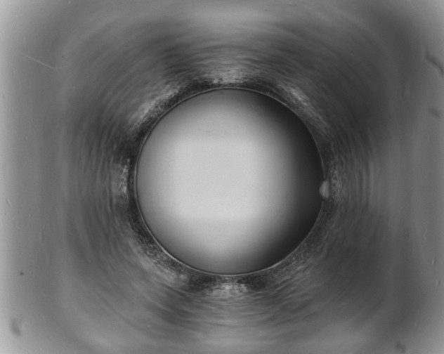 X0000102220543200808011204