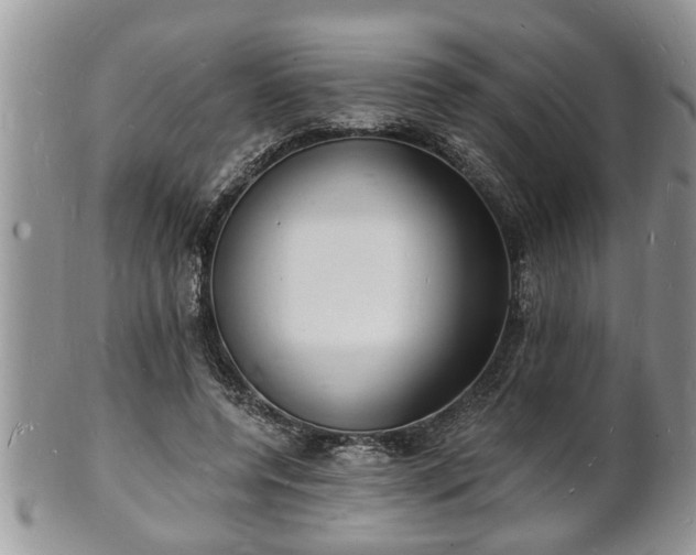 X0000102220544200808011204