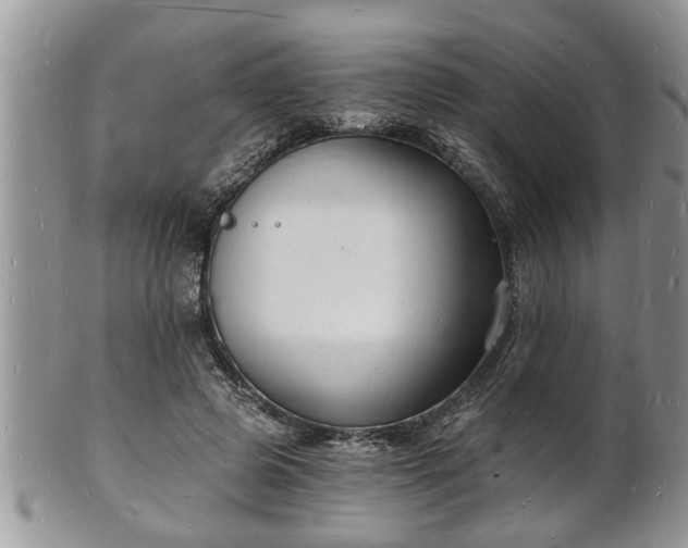 X0000102220545200808011205