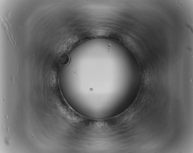 X0000102220546200808011205