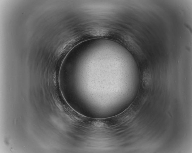 X0000102220547200808011205