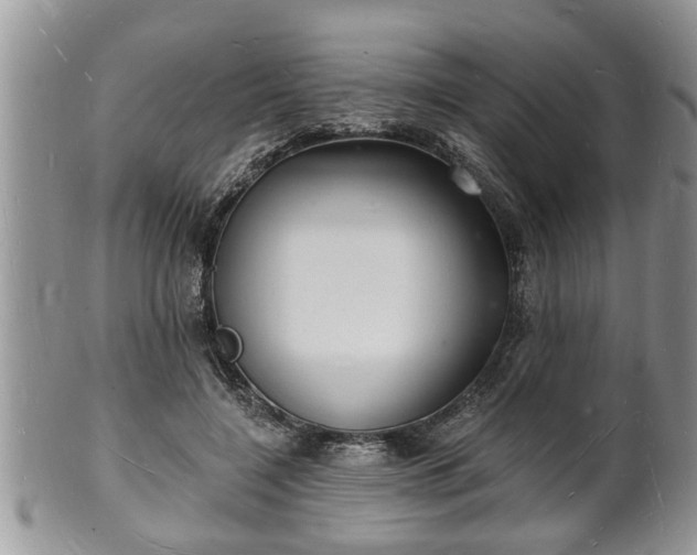 X0000102220548200808011205