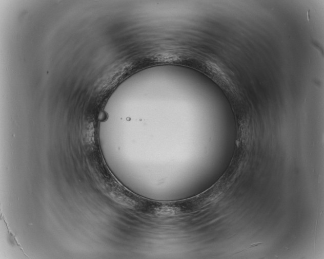 X0000102220549200808011205