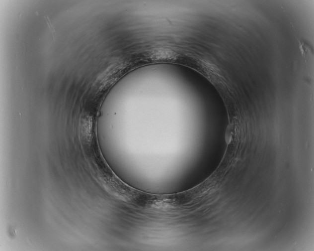 X0000102220550200808011205