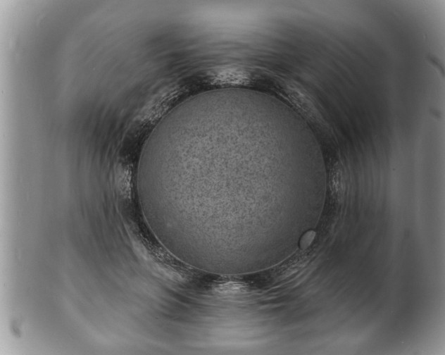 X0000102220551200808011205