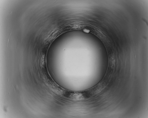 X0000102220554200808011205