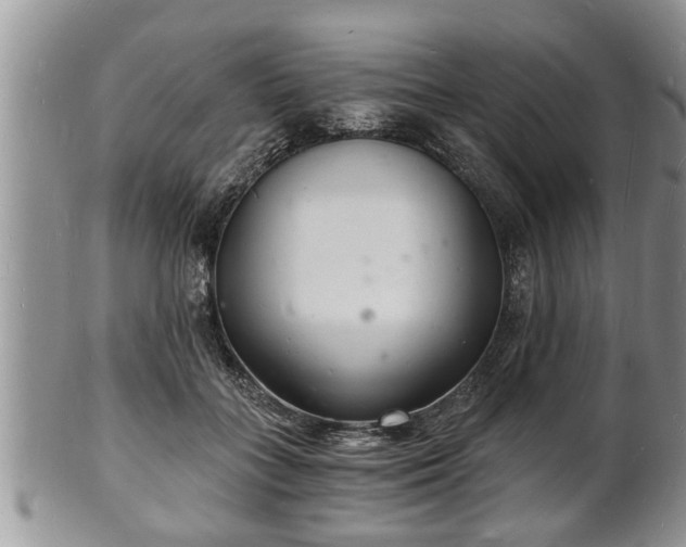 X0000102220555200808011205