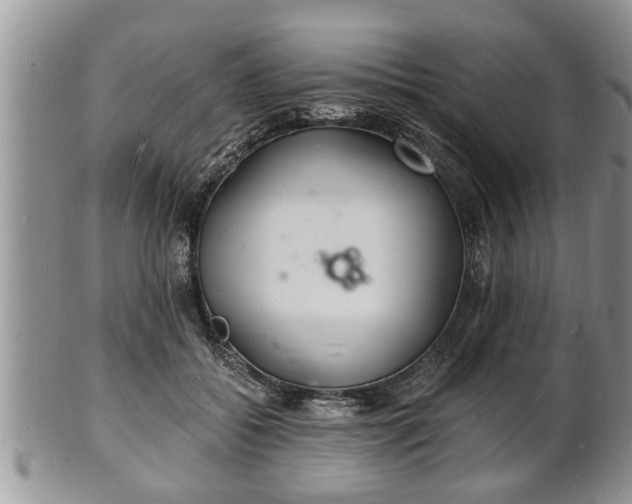 X0000102220556200808011205